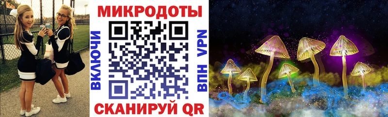 наркота  Александровск  Галлюциногенные грибы мицелий 